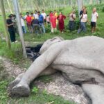 इलाममा पर्यटन पत्रकारिता तालिम