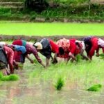 गोली प्रहारबाट किशोरीको मृत्यु