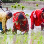 अमेरिकामा जासुसी गरेको आरोपमा दुई चिनियाँ नागरिक पक्राउ