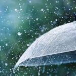 देशभर ८ लाख १६ हजार ४०५ हेक्टरमा रोपाइँ सम्पन्न